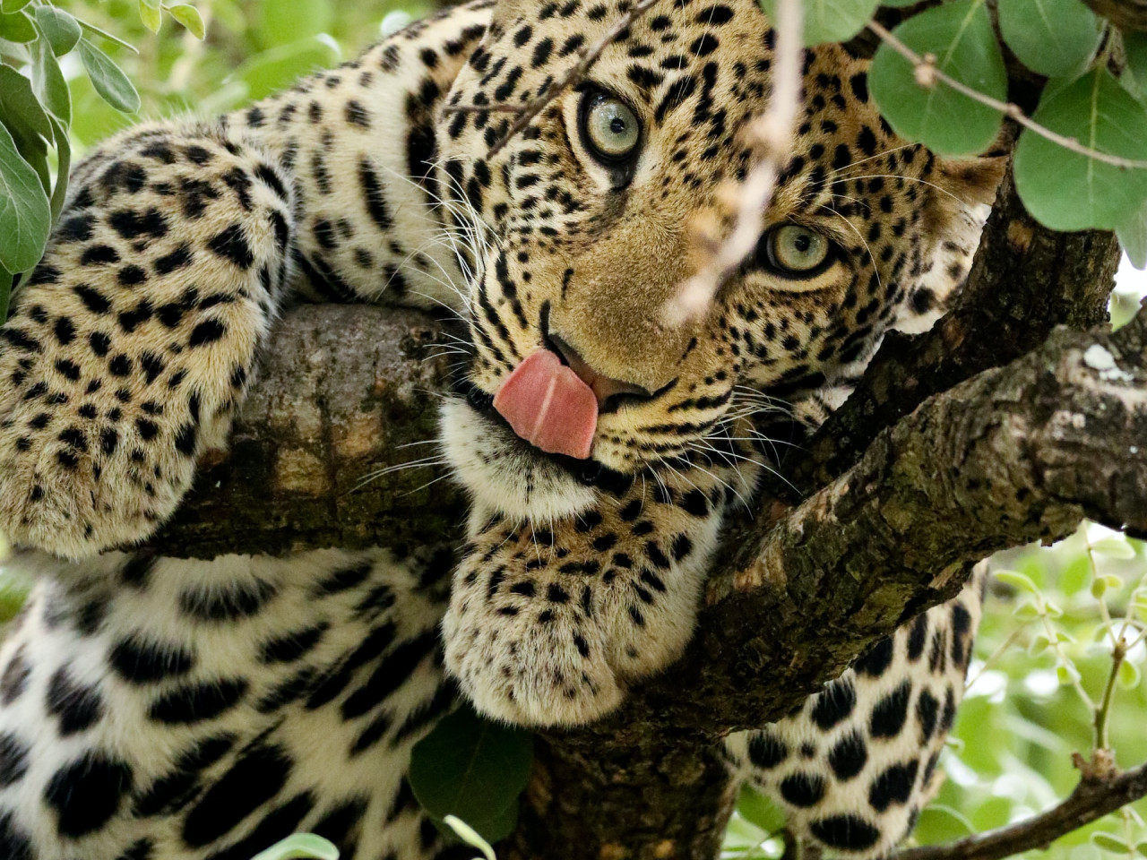 5908be2f5368ea21f967692bc9421c34_1684837063