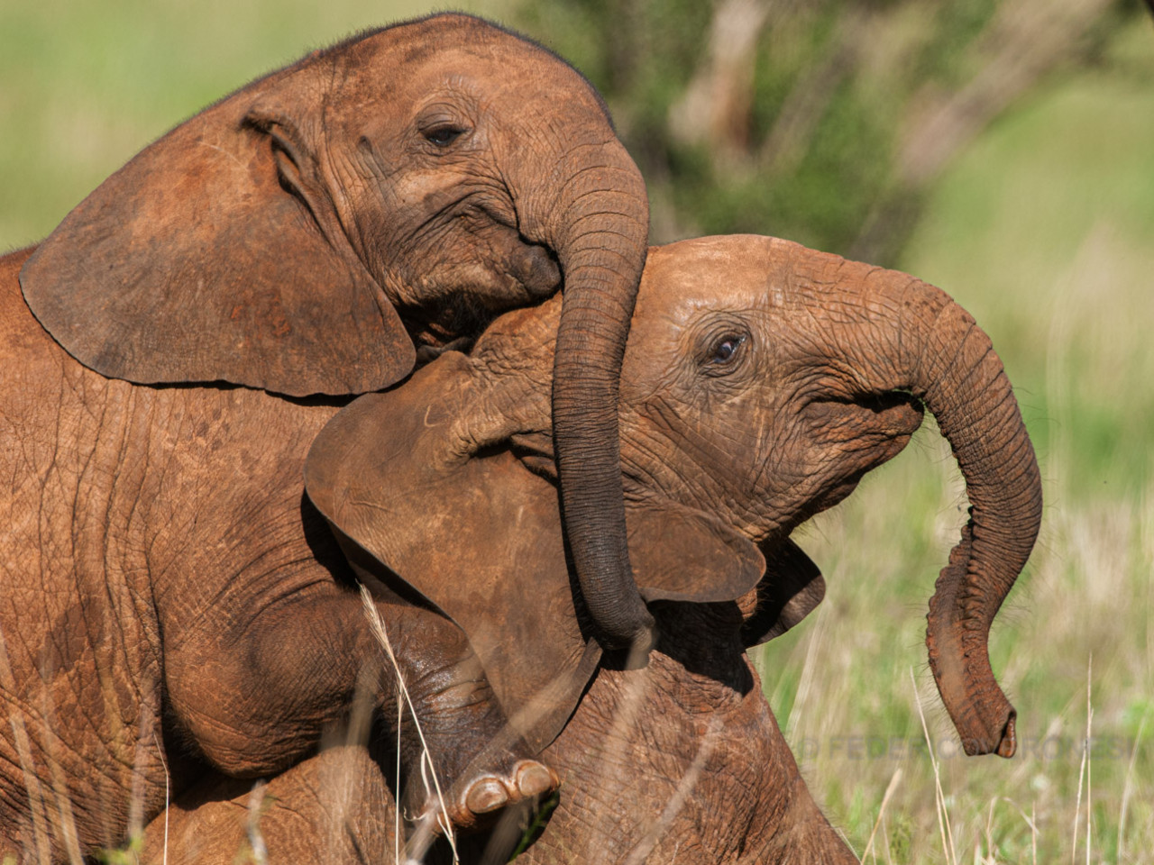 e517995e9a8021efe1d0a5add5145598_1674586384