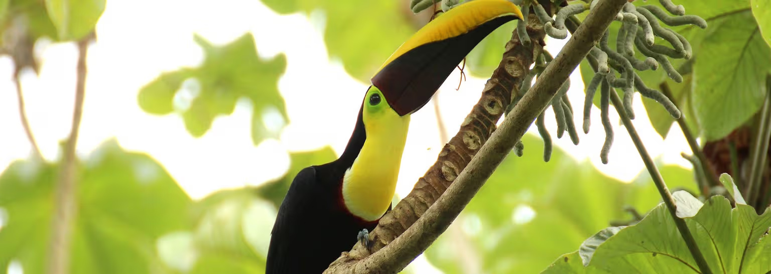 o6NlblcSpaXQieQMFU8a