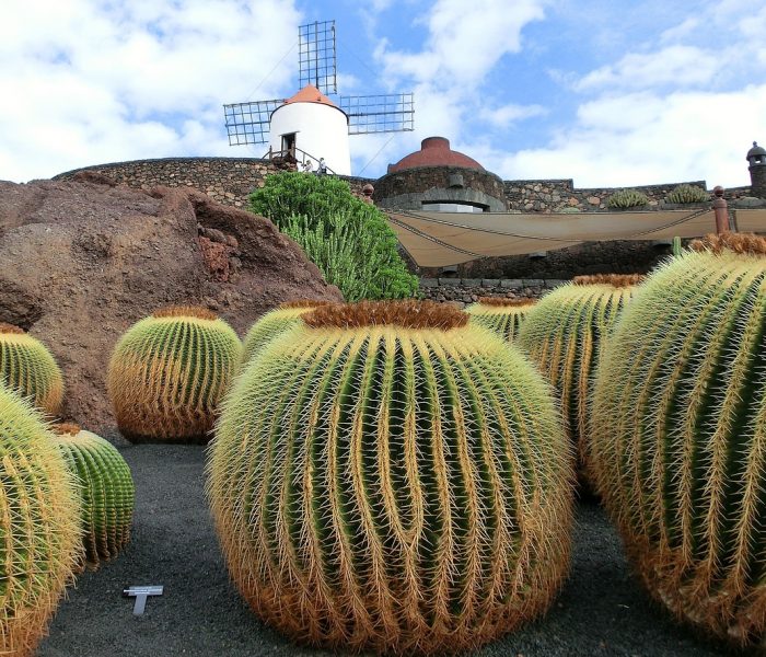 lanzarote-211043_1280