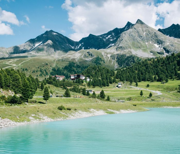 pexels-brian-de-karma-806590-1686302