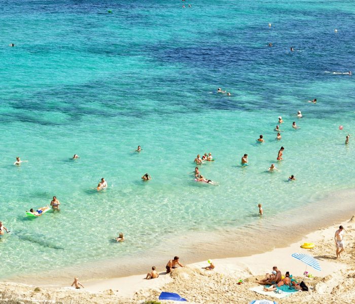 pexels-mariia-kamenska-249800-883758