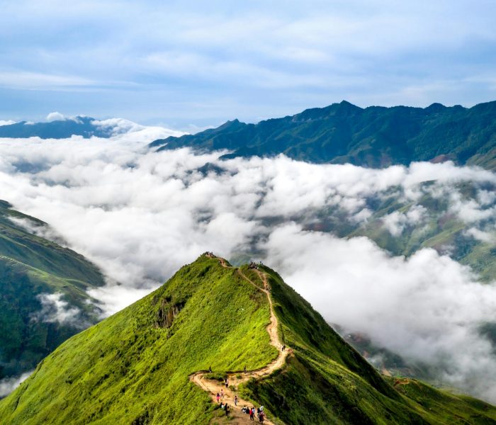 pexels-quang-nguyen-vinh-222549-11669958