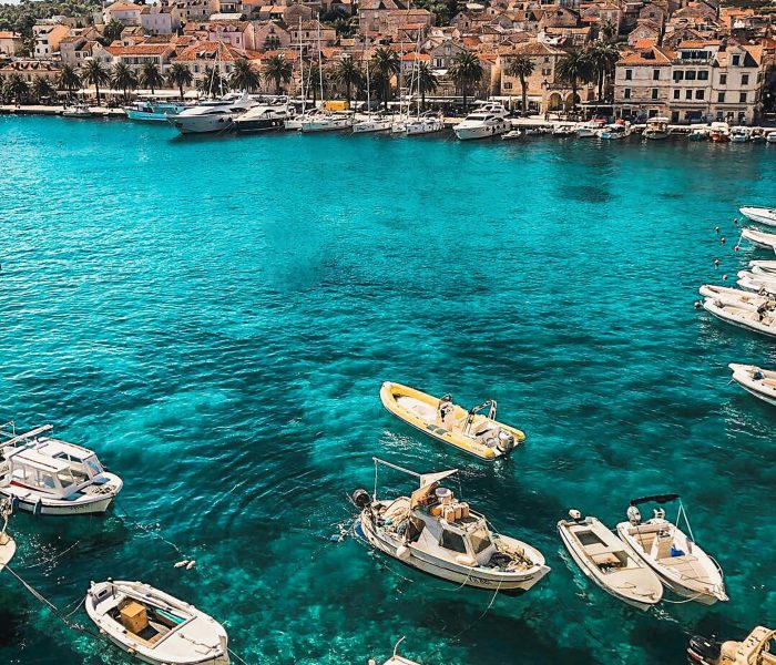 pexels-vince-2265876